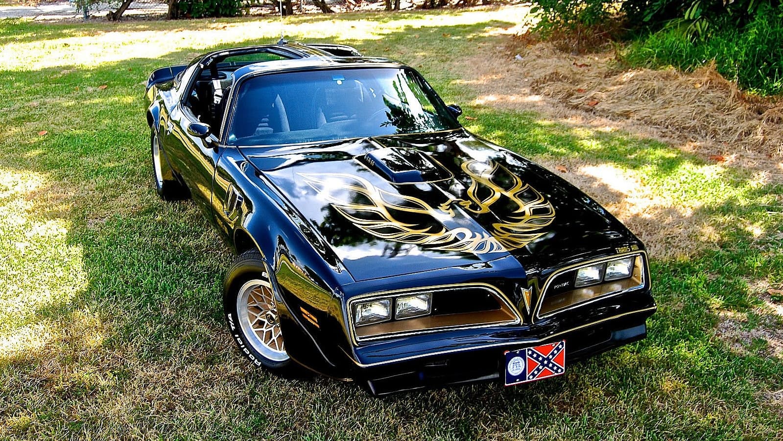 Trans Am